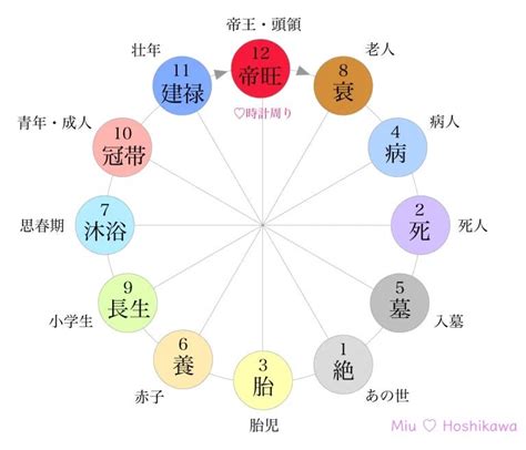 十二運星|十二運 新栄堂 四柱推命の鑑定術や説明を豊富な資料とともに分。